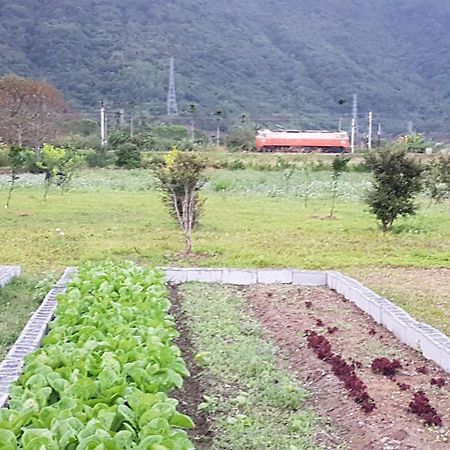 Taroko Formosa Homestay Xiulin Exterior photo