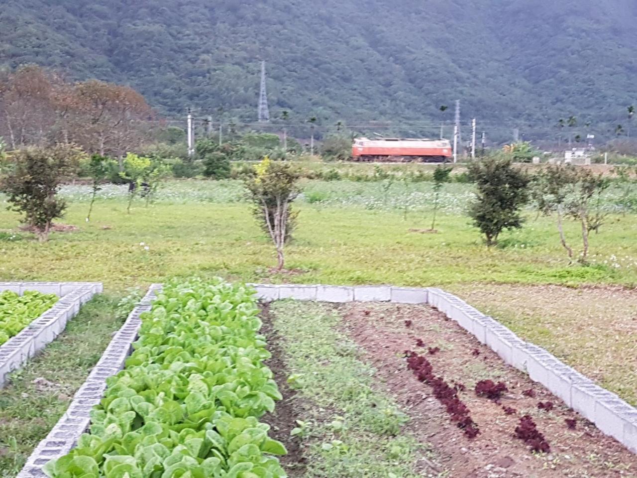 Taroko Formosa Homestay Xiulin Exterior photo